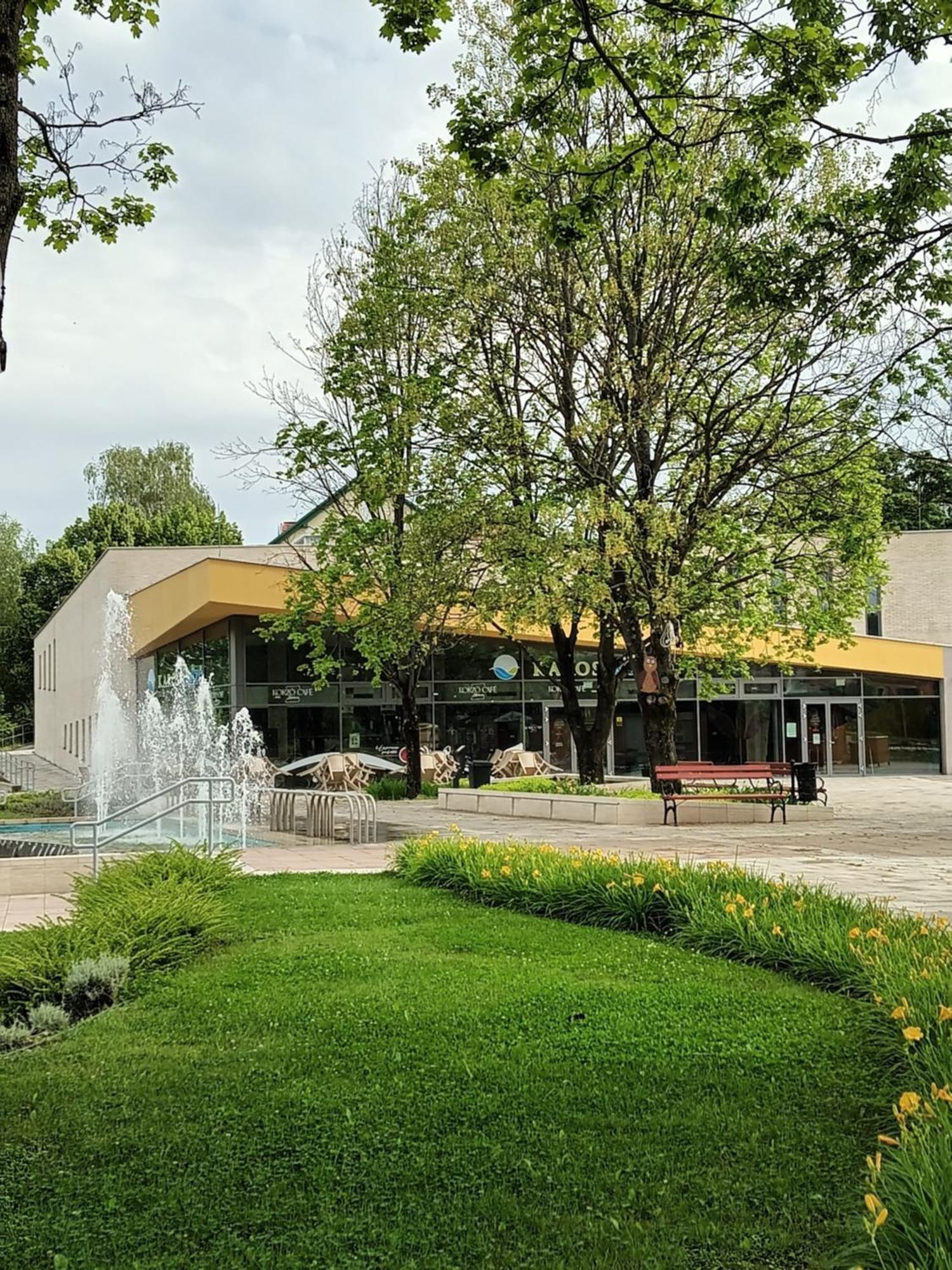 Viola Wellness Apartman Appartement Zalakaros Buitenkant foto